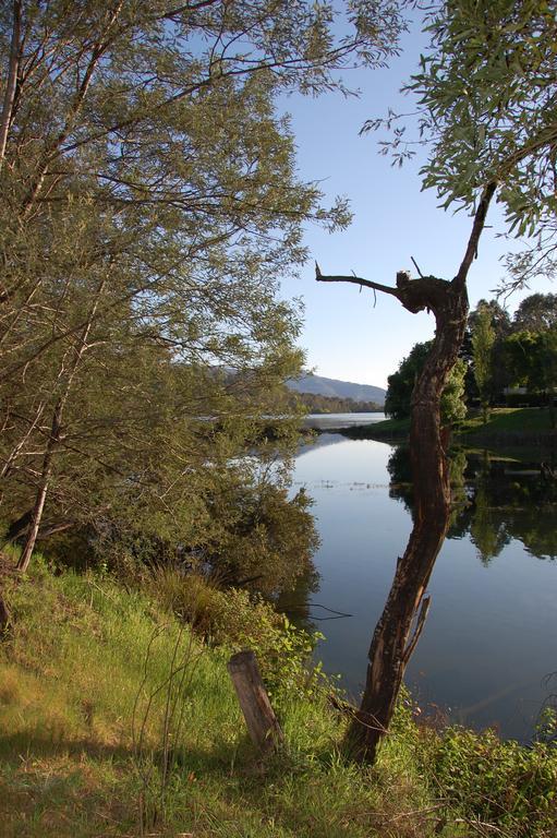 Eildon Pondage Holiday Park Eksteriør billede